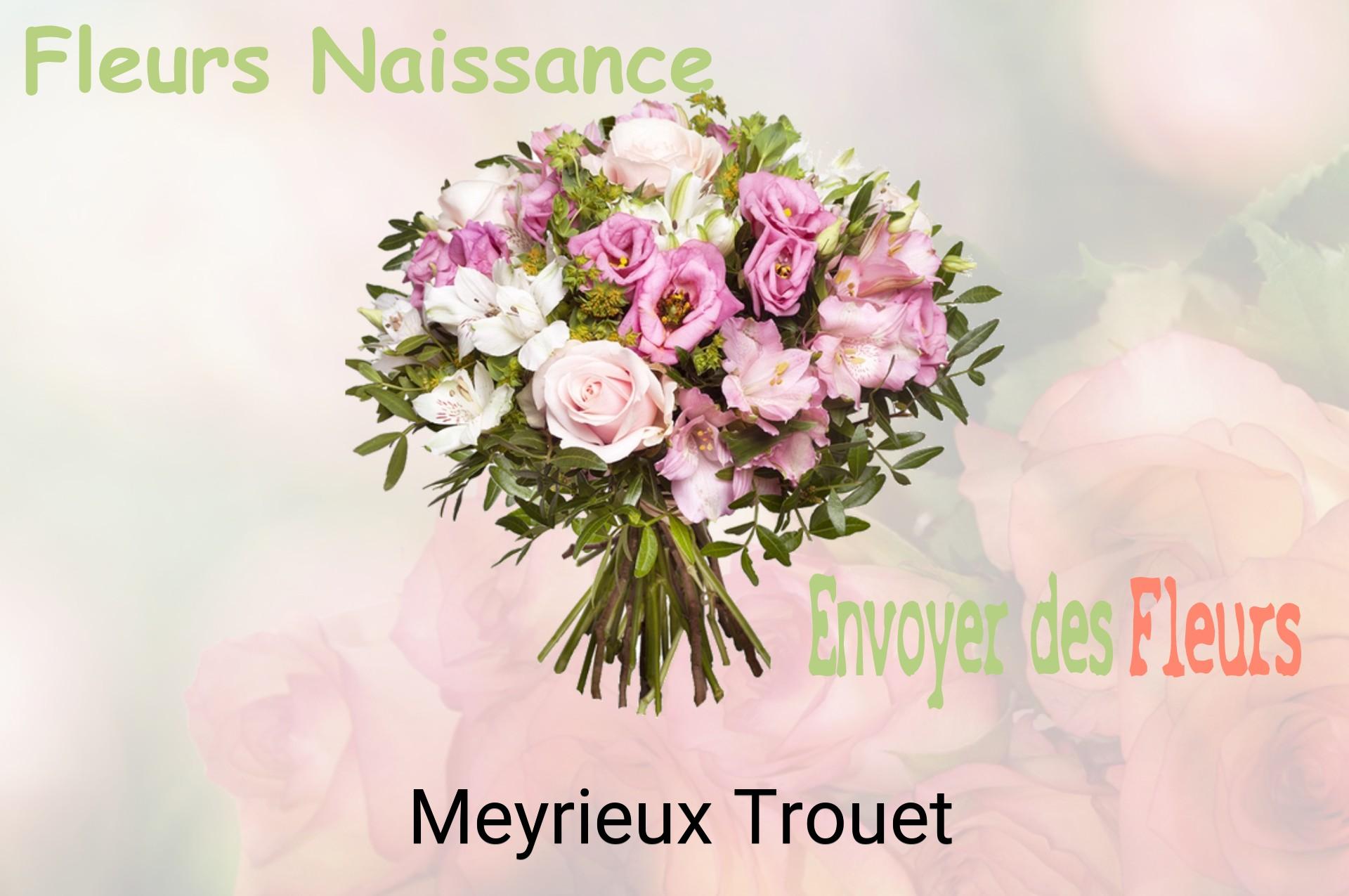 Bouquet de fleurs de naissance livré à Meyrieux-Trouet